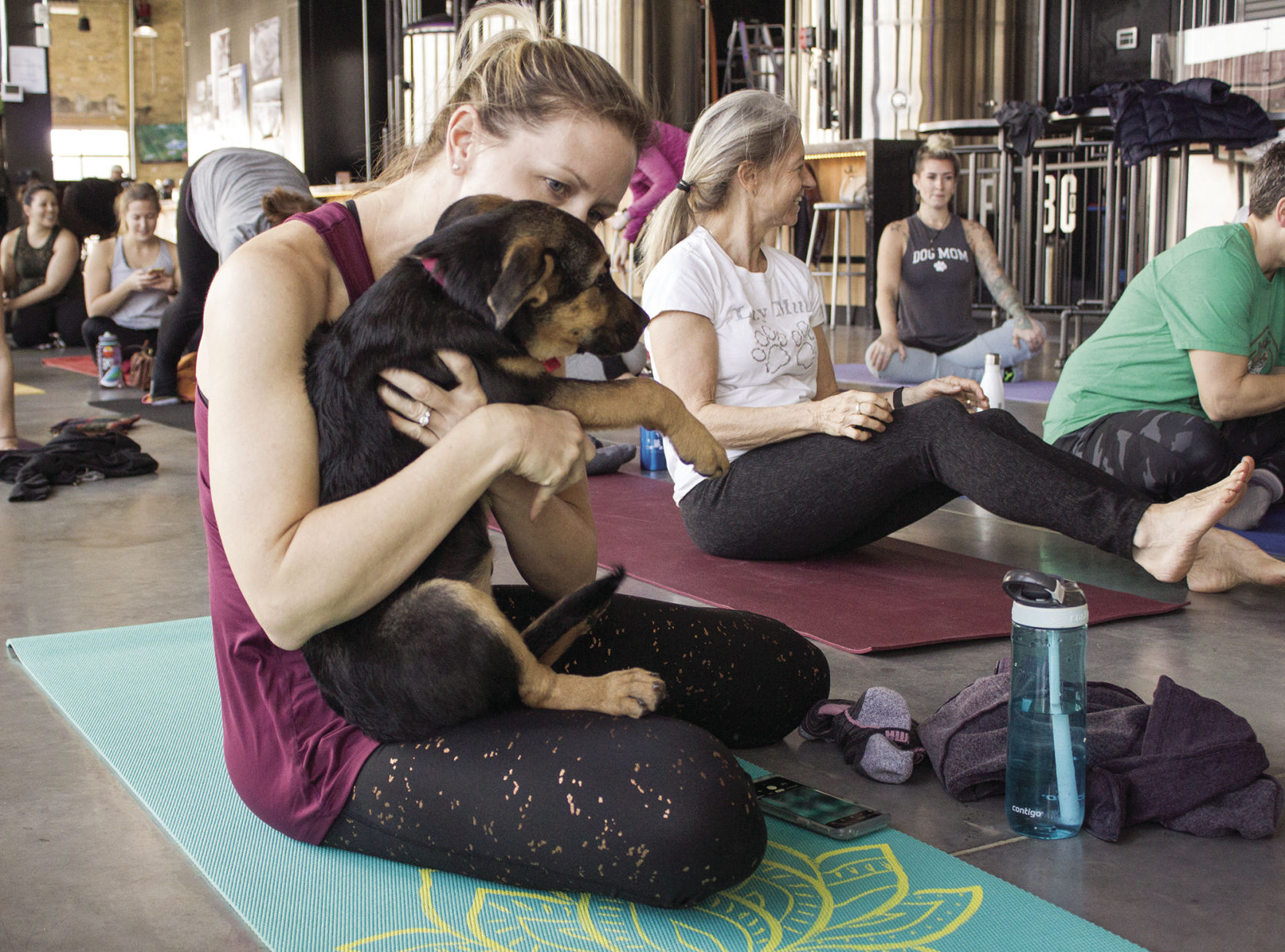 FR puppy yoga 11 cmyk.jpg